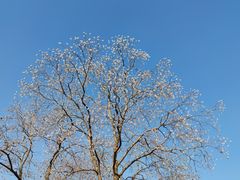 -相门城墙文化休闲景区