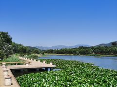 -门城湖公园