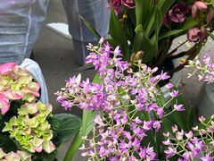 -东川新街市(东川市场店)