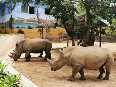-西安秦岭野生动物园