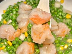 -陈麻婆豆腐(旗舰店)