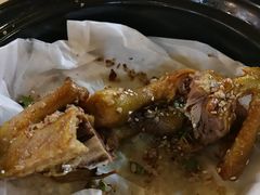 -一煲鸽