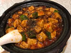 -陈麻婆豆腐总店