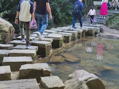 -广州白江湖森林公园