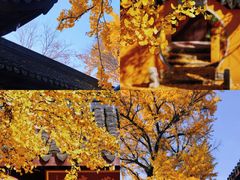 -西园戒幢律寺
