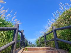 -温岭石塘海边