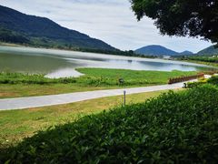 -风云岭森林公园