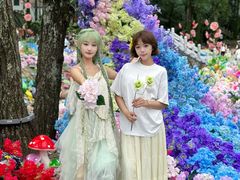 -洛阳白云山景区