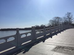 -大兴滨河森林公园