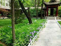 -碑林公园