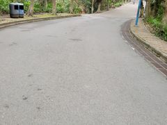-滴水岩森林公园