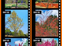 -北京西山国家森林公园