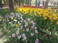 -长春公园(普阳街道)