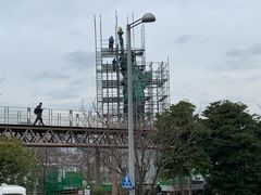 -台场海滨公园船码头