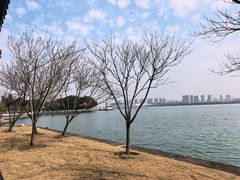 -无锡蠡湖国家湿地公园-蠡园