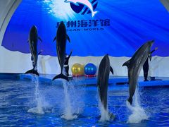 -广州海洋馆
