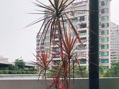 -蛙小侠(珠海华发商都店)