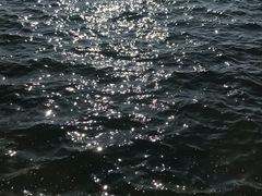 -丁香湖公园
