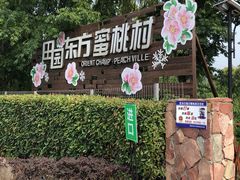 -田园东方蜜桃村的田野营地