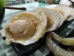 扇贝-丽江庭院之丽江往事(安定门店)