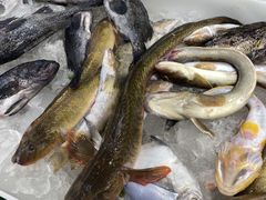 -北方饺子王·海肠捞饭·海鲜锅(山大店)