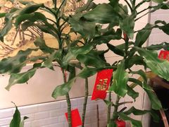 -许鲜生健康生活馆·精细潮菜(奥绅体育公园店)