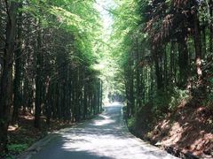 -山王坪喀斯特国家生态公园