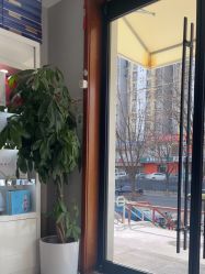 -三十一天爱产后恢复(龙府花园店)