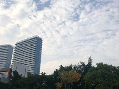 -五缘湾湿地公园