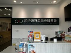 -凯特喵百思猫专科医院