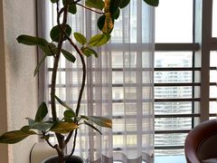 -争渡心理咨询全国连锁(福田店)