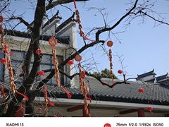 -安徽八里河旅游区