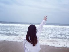 -西涌国际滨海旅游区