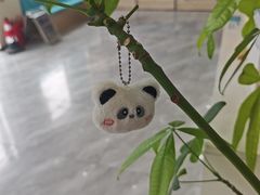 -德元·美联众合24小时动物医院(总院)