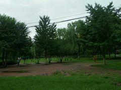 -顺鑫石门市场