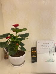 点击看大图 -昆明梦想医疗美容医院