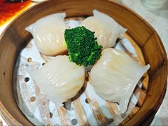 -金桔香港茶餐(宝安大厦店)