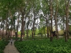 -长春公园(普阳街道)