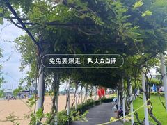 -碧海金沙