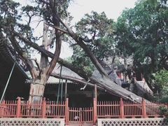 -晋祠公园
