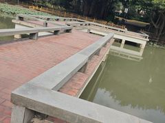 -光明港公园