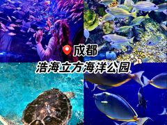 -成都浩海立方海洋公园