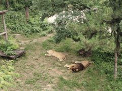 -石家庄市动物园