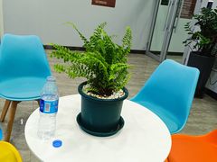 -光猪圈健身(电塔街店)