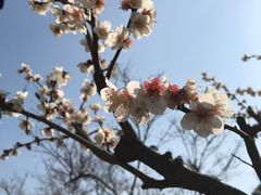 -木渎古镇