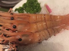 -德川家日本料理(顺义华联店)