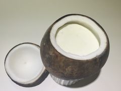 -志龙皇冠吃货椰子铺