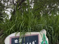 -梁鸿国家湿地公园