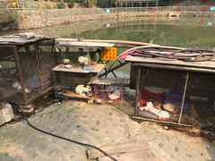 -双新垂钓园