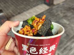 -黑色经典臭豆腐·湖南特产(坡子街店)